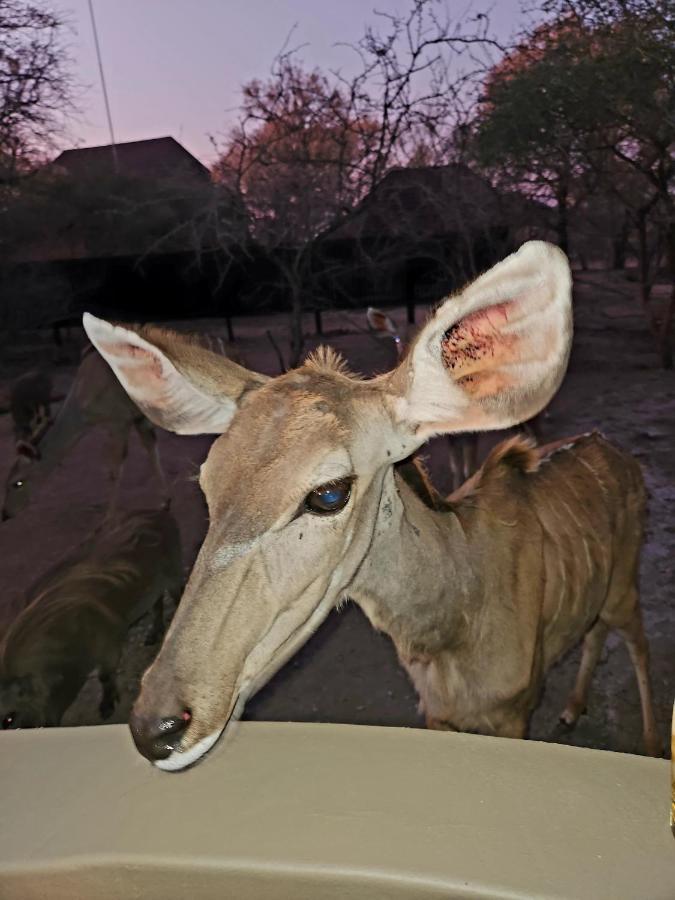 Апартаменти Kudus Crest Bush Retreat Марлот-Парк Екстер'єр фото
